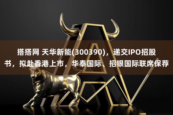 搭搭网 天华新能(300390)，递交IPO招股书，拟赴香港上市，华泰国际、招银国际联席保荐