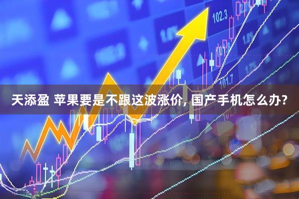 天添盈 苹果要是不跟这波涨价, 国产手机怎么办?